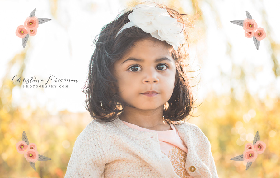 Morton Grove Family Photographer